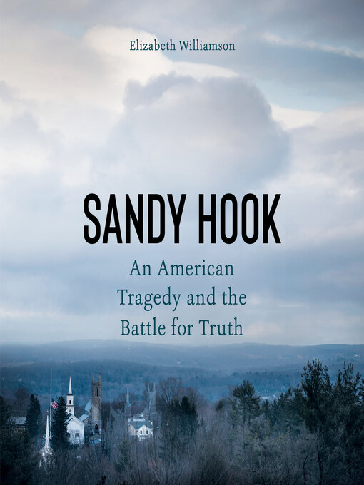 Title details for Sandy Hook by Elizabeth Williamson - Available